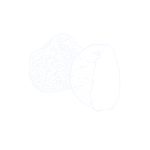 Truffled.lol
